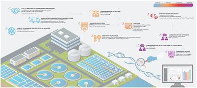 Wastewater pandemic preparedness: Toward an end-to-end pathogen <mark class="highlighted">monitoring program</mark>